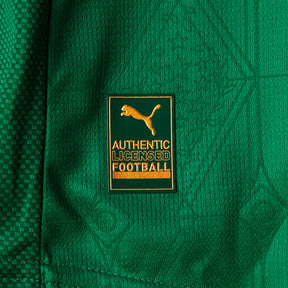 Camisa Puma Palmeiras 2025/26 I Jogador