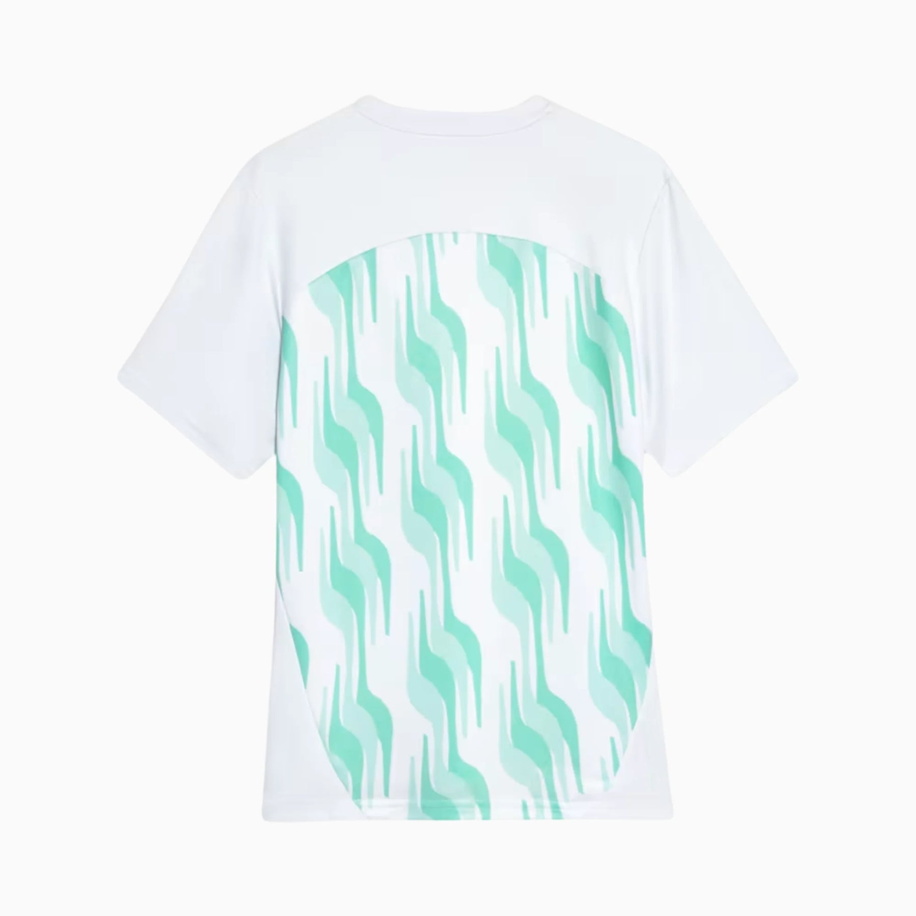 Camisa Puma Palmeiras 2025/26 Pré-Jogo