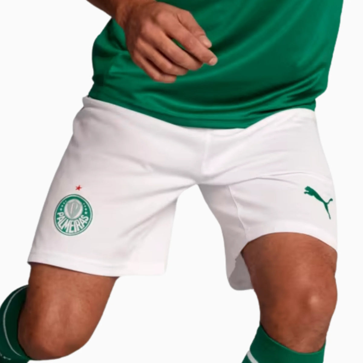 Shorts Palmeiras 2025/26 I