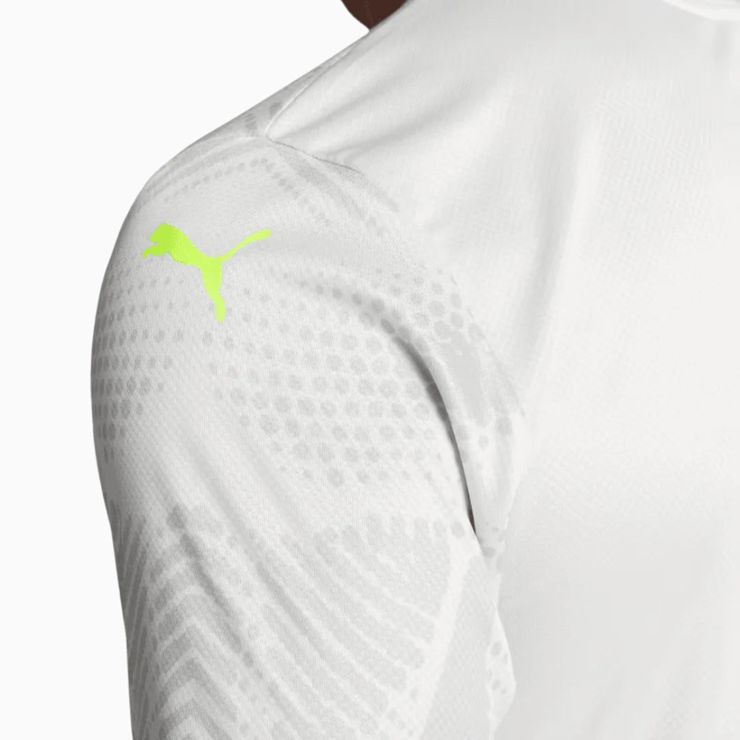Camisa Puma Palmeiras 2025/26 Goleiro III Jogador