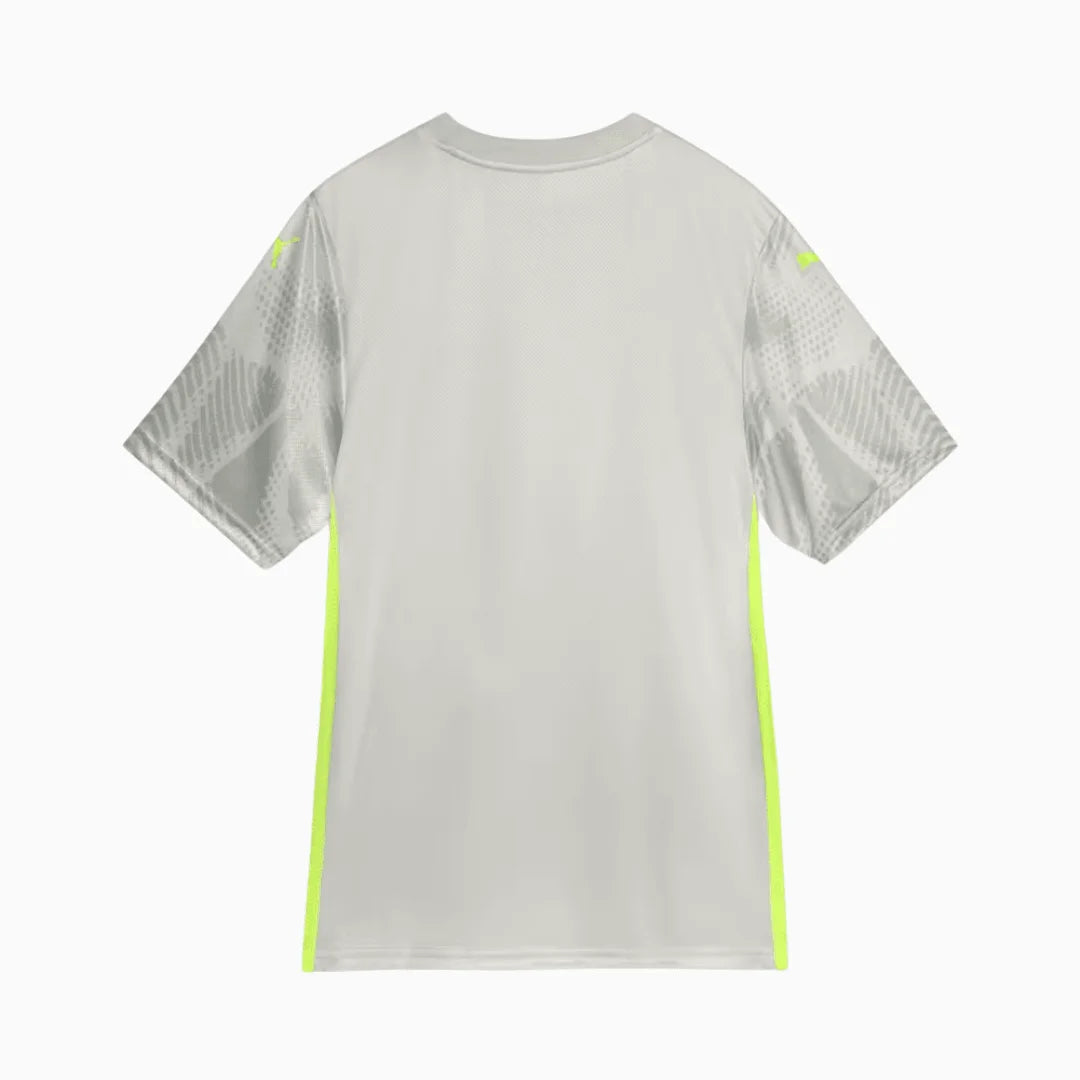 Camisa Puma Palmeiras 2025/26 Goleiro III Jogador