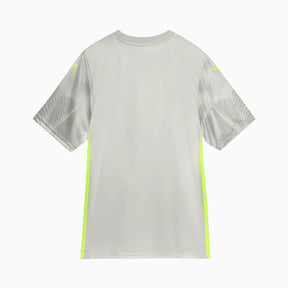 Camisa Puma Palmeiras 2025/26 Goleiro III Jogador
