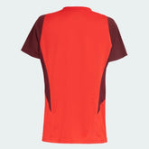 Camisa Internacional Treino Feminina 2024/25