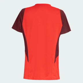 Camisa Internacional Treino Feminina 2024/25