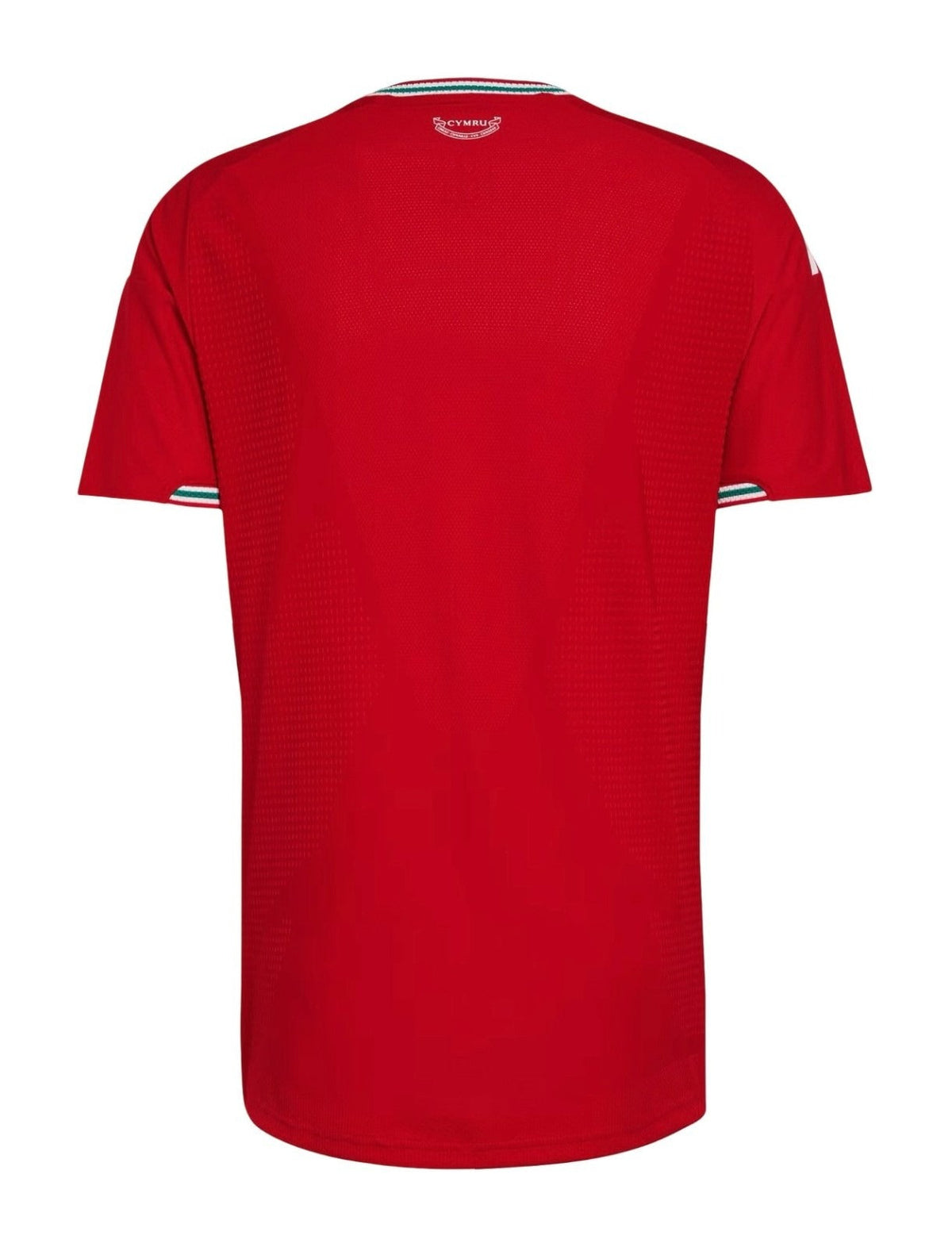 Camisa Pais de Gales Home 2026 - Versão Jogador