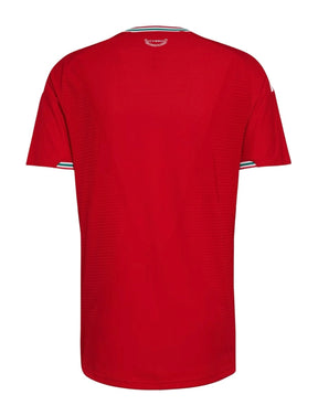 Camisa Pais de Gales Home 2026 - Versão Jogador
