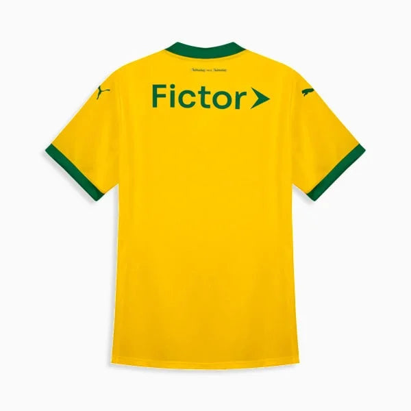 Camisa Feminina Puma Palmeiras 2025/26 III Torcedor