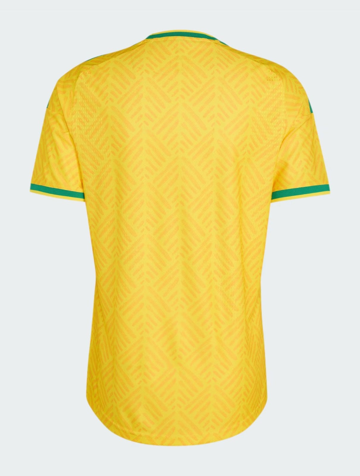 Camisa África do Sul Home 2026